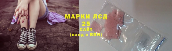 молекула духа Костерёво