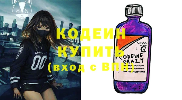 молекула духа Костерёво