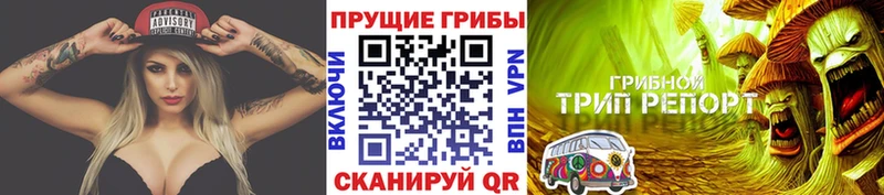 гидра ссылка  Набережные Челны  Галлюциногенные грибы Psilocybine cubensis  где продают наркотики 
