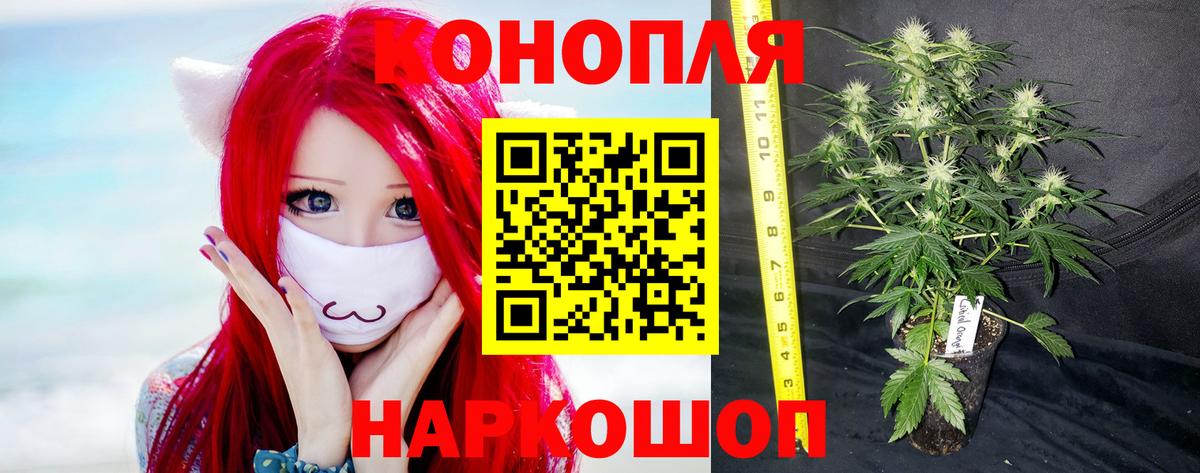 Шишки марихуана планчик Набережные Челны